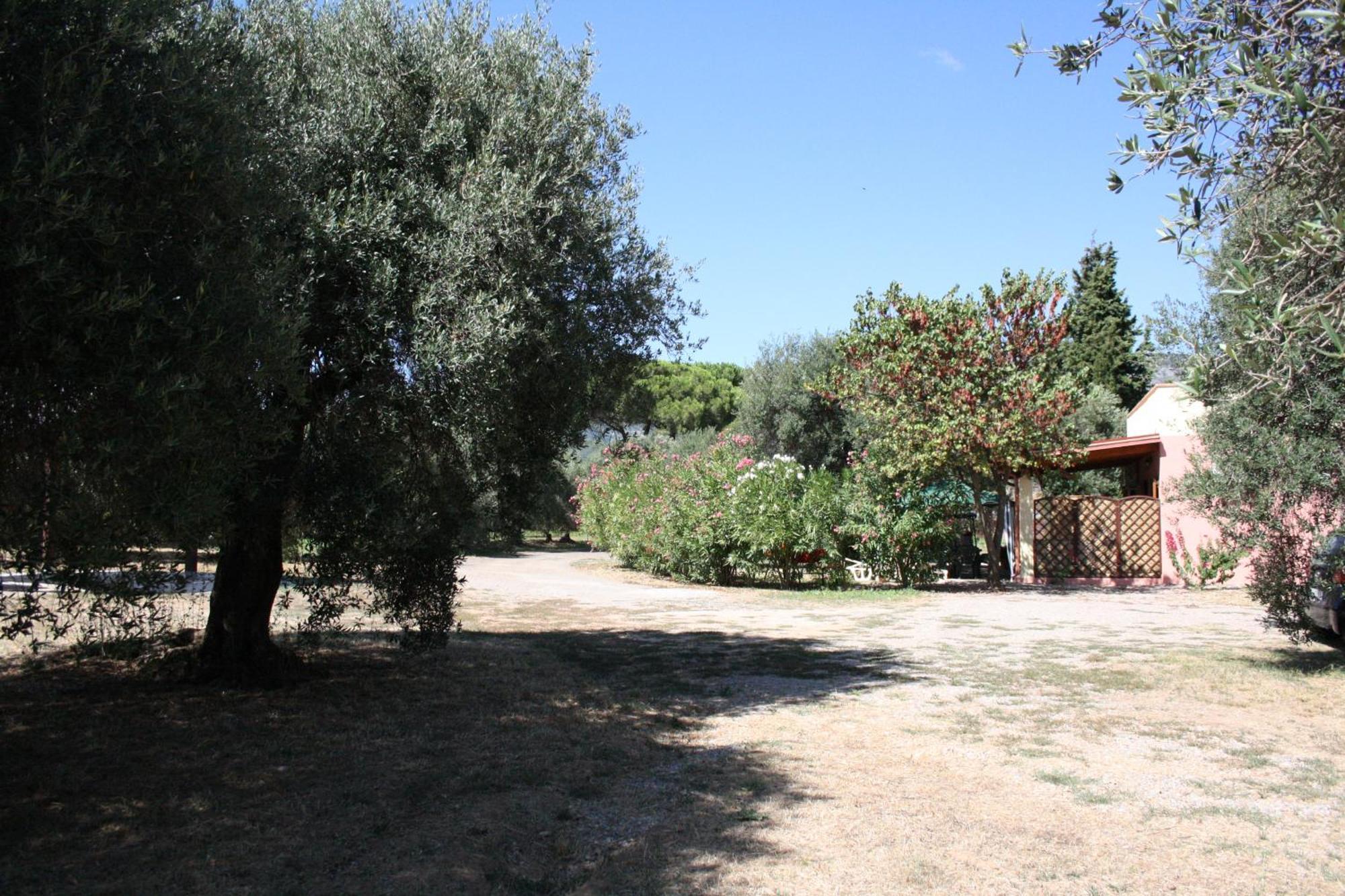 Apartamento Casa L' Antico Ulivo Iglesias Exterior foto