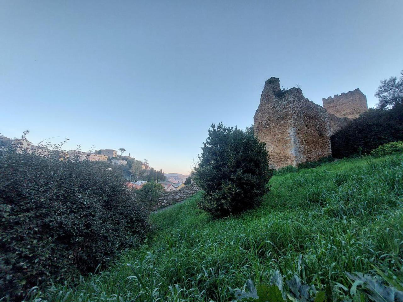 Apartamento Casa L' Antico Ulivo Iglesias Exterior foto