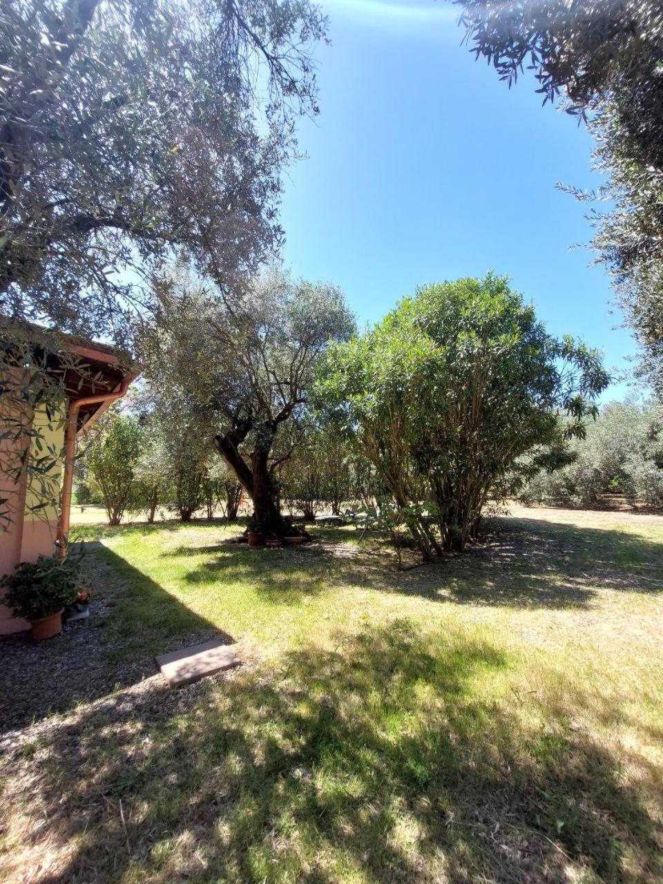 Apartamento Casa L' Antico Ulivo Iglesias Exterior foto