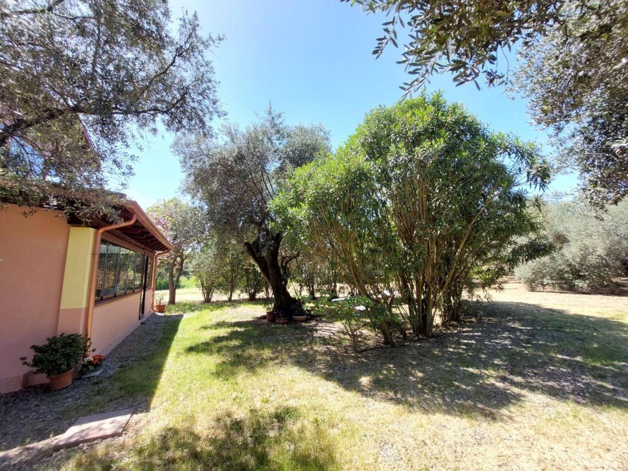 Apartamento Casa L' Antico Ulivo Iglesias Exterior foto